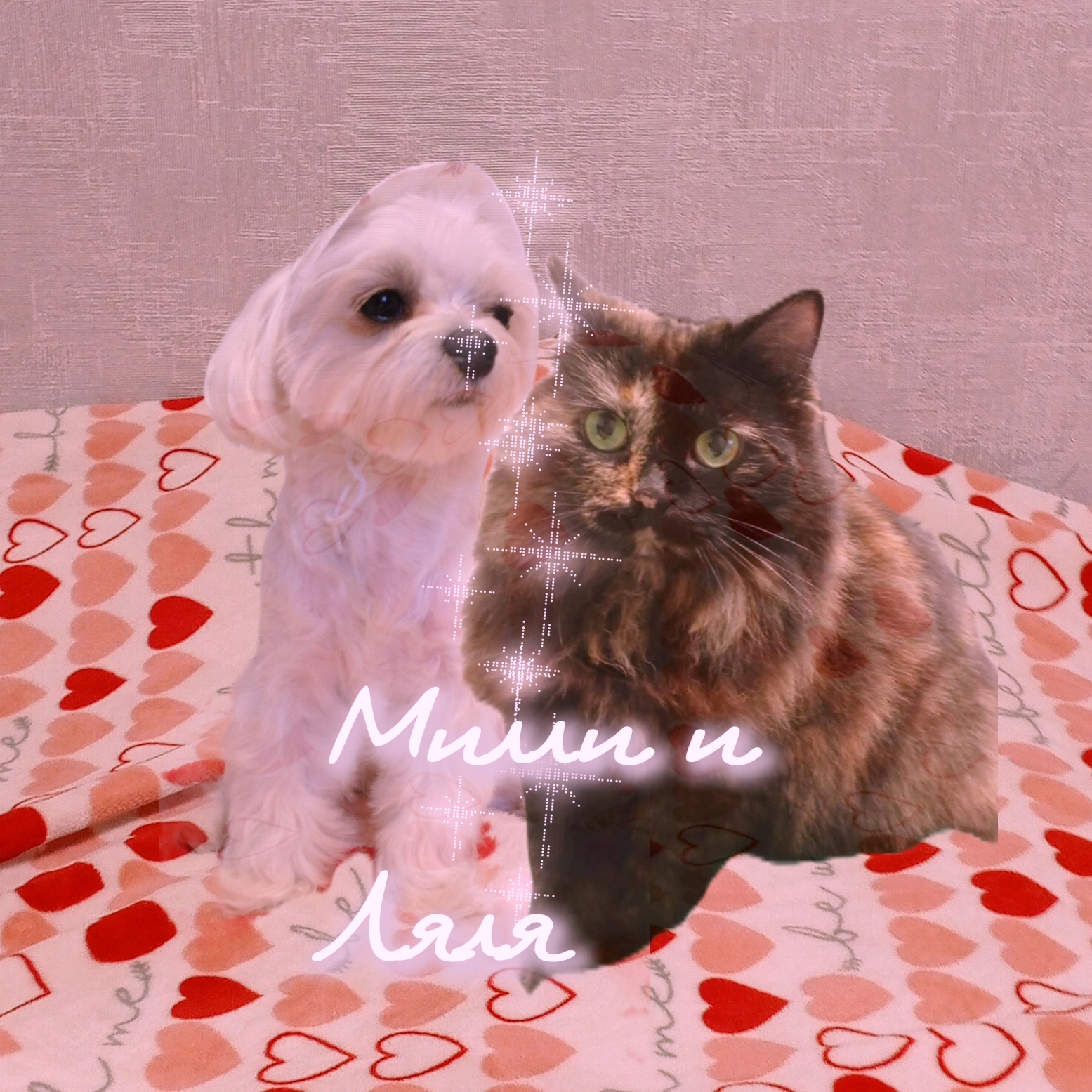 Иконка канала Милли и Ляля🐾