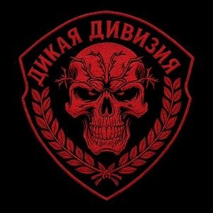 Иконка канала Дикая Дивизия