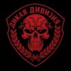 Иконка канала Дикая Дивизия