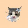 Иконка канала 𐙚   котик_stor  𐙚