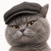 Иконка канала Vyacats