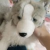 Иконка канала - Marble Woof-