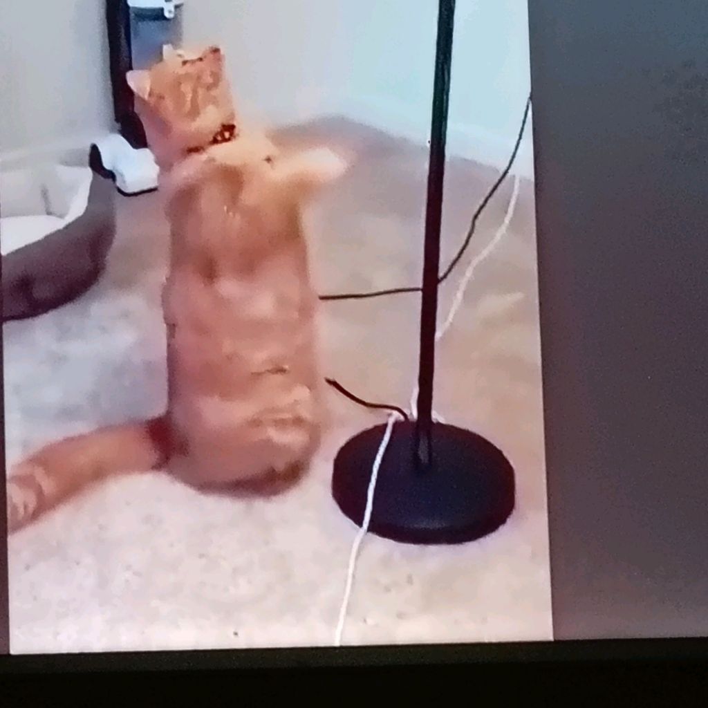 Иконка канала channel74085738