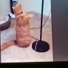 Иконка канала channel74085738