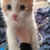 Иконка канала channel81852057