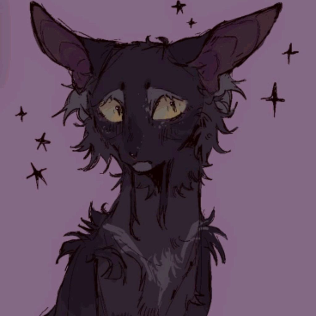 Иконка канала 🍀WARRIOR CATS🍀