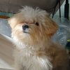Иконка канала sasha