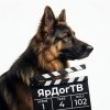 Иконка канала ЯрДогТВ | собаки, дрессировка, интервью, обзоры