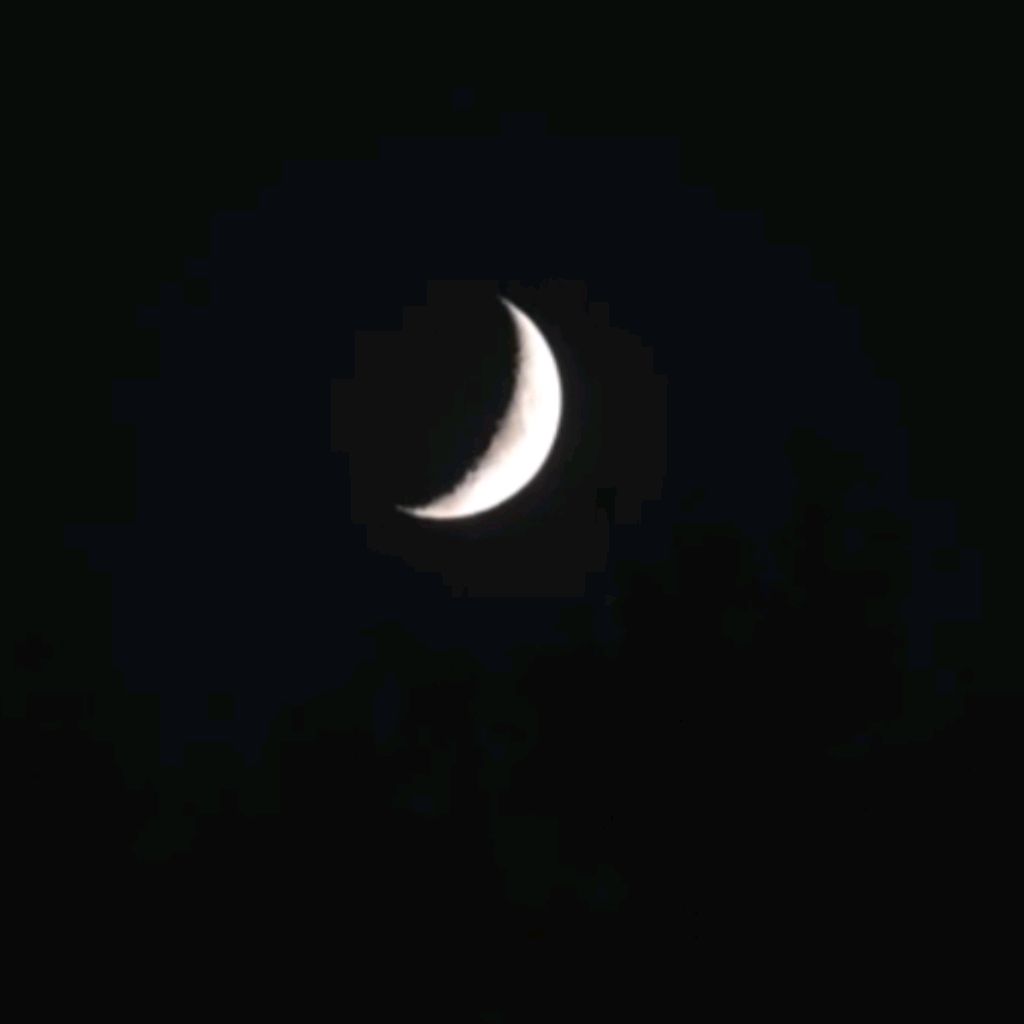 Иконка канала the moon