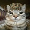 Иконка канала Shelp
