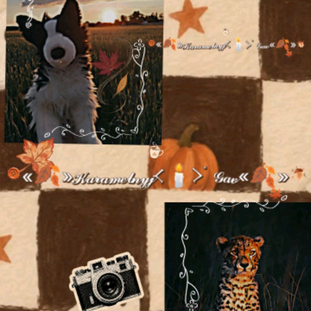 Иконка канала «🍂»𝓚𝓪𝓻𝓪𝓶𝓮𝓵𝓷𝔂𝓳﹤🕯️﹥" 𝓖𝓪𝓿«🍂»