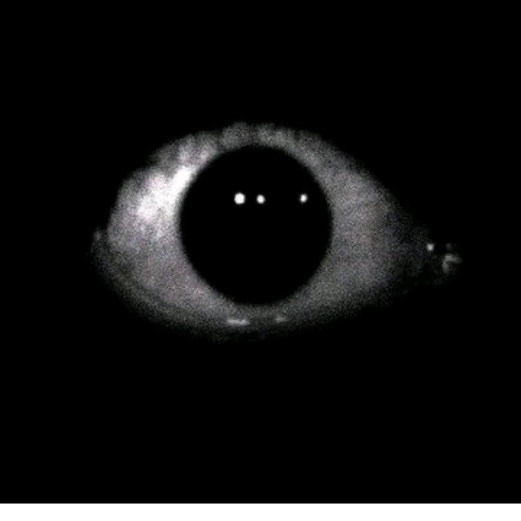 Иконка канала 👁️🎃🍂🍁MR Стилджо🍁🍂🎃👁️