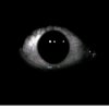 Иконка канала 👁️🎃🍂🍁MR Стилджо🍁🍂🎃👁️