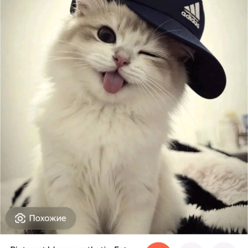 Иконка канала Настик ✌