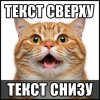 Иконка канала Пушистики