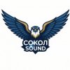 Иконка канала Сокол Sound