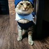 Иконка канала Уля