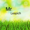 Иконка канала MrLeapich