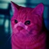 Иконка канала ~🎀♡ 𝙑𝗲𝙧𝙤𝗻𝙞𝙘𝙖 ♡🎀~