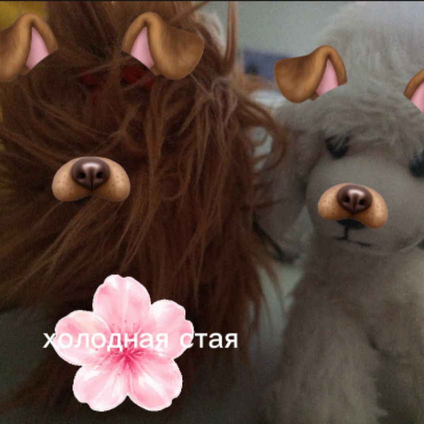 Иконка канала 🌨️❄️ХОЛОДНАЯ СТАЯ🌨️❄️