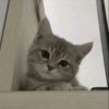 Иконка канала ВЕРНУЛСЯ СПУСТЯ ГОД