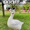 Иконка канала Осенний 🍁🍂GOOSE12K
