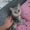 Иконка канала channel81926093