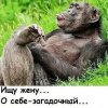 Иконка канала Nikalexm