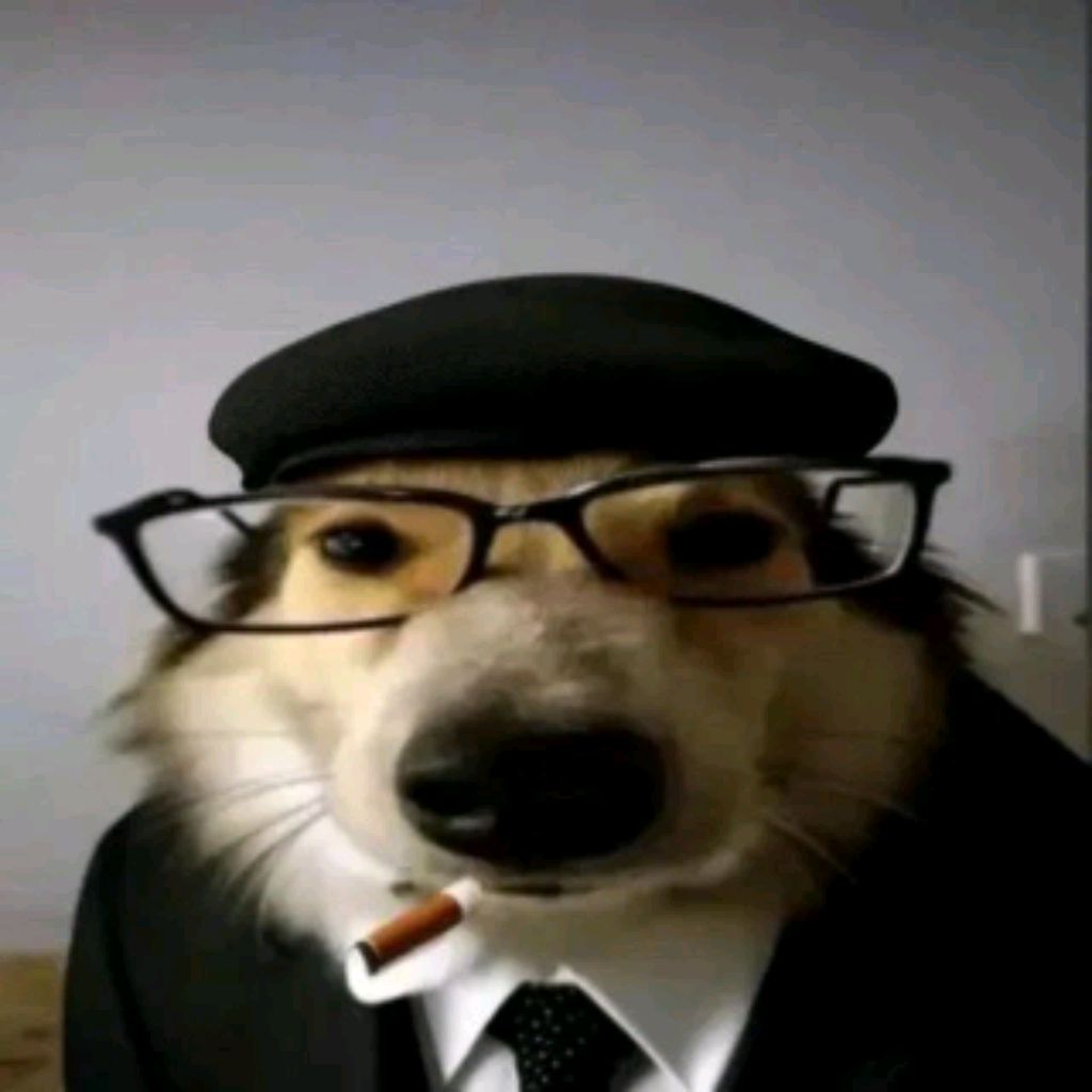 Иконка канала XWIM roblox content