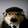 Иконка канала XWIM roblox content