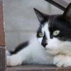 Иконка канала марыш Баффи🧡🧡🧡🧡🧡