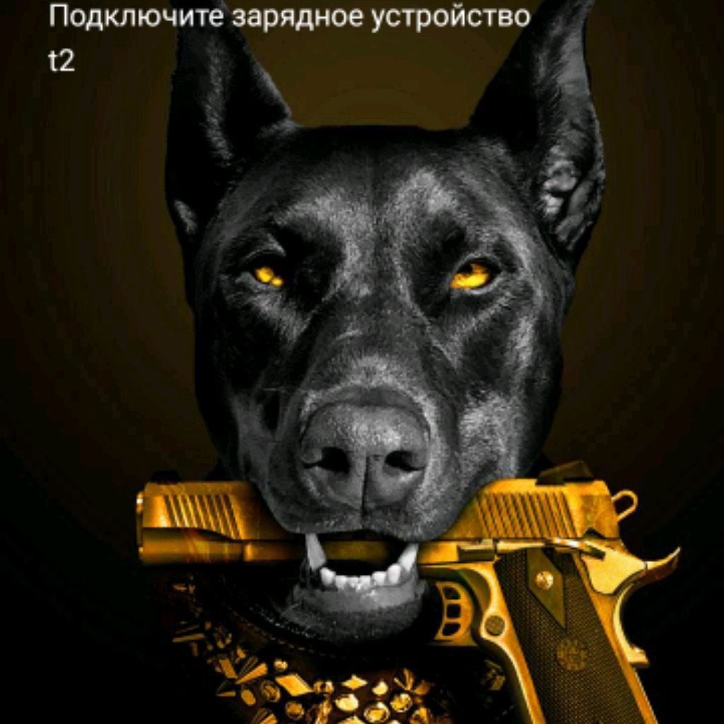 Иконка канала Анонимный Чел