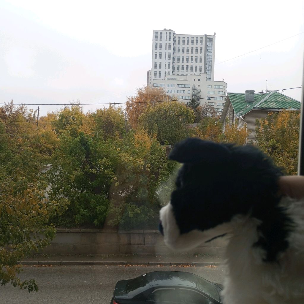Иконка канала 🐾🌕Лунная Essa🌕🐾