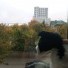 Иконка канала 🐾🌕Лунная Essa🌕🐾