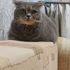 Иконка канала Ладно Я Не знаю Как Его Назвать