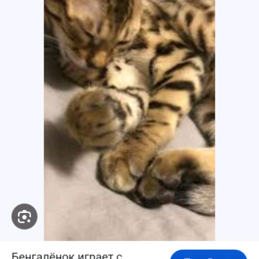 Иконка канала Про 25