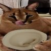 Иконка канала channel81894644