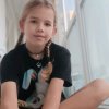 Иконка канала Rara lik