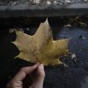 Иконка канала 🍂Крутые Сестрички🍂