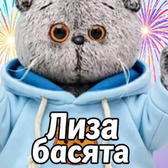 Иконка канала Лиза и Басята