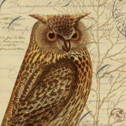 Иконка канала History_Owl