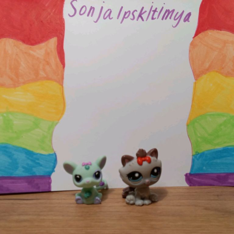 Иконка канала Sonjalpskitimya