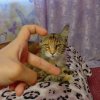 Иконка канала 9&#@Дарина