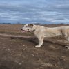 Иконка канала Наши Любимцы!