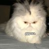 Иконка канала TIMOFEI