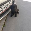Иконка канала Максик