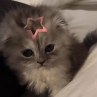 Иконка канала Grrrrrrпонедельник 🌸
