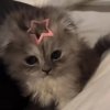 Иконка канала Grrrrrrпонедельник 🌸