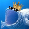 Иконка канала 🌊БЛУП 3k💦