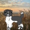 Иконка канала 🍁»𝖀𝕲𝖔𝖒𝖊𝖑_𝙴𝚂𝚂𝙰!⛓️(Пдб)«🍂